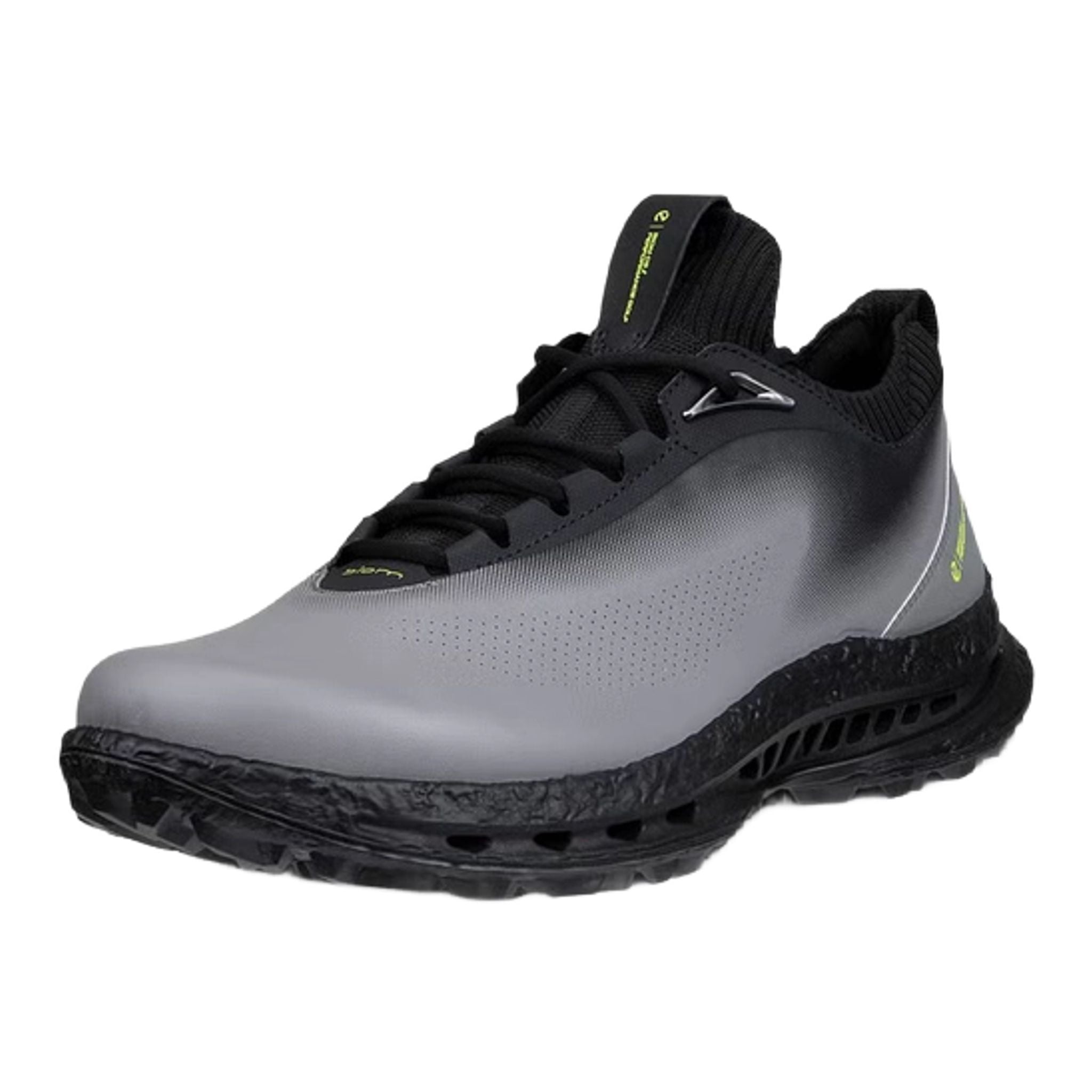 Ecco BIOM C5 Golfschuhe Herren