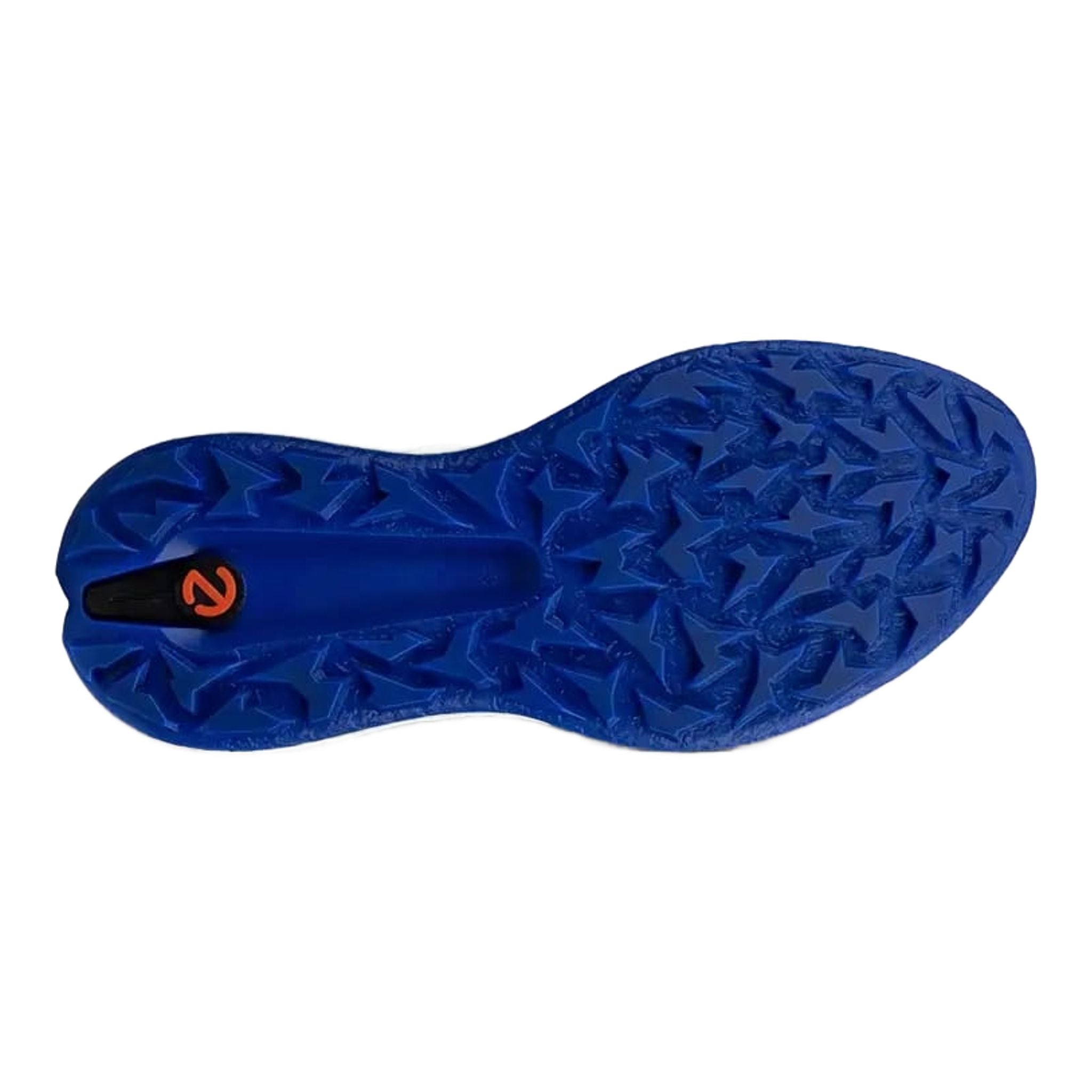 Ecco Golf Biom H5 Schuhe Herren