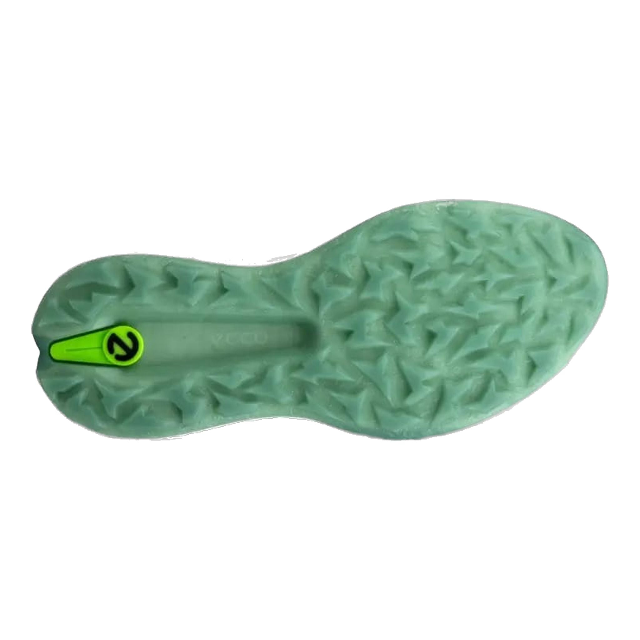 Ecco Golf Biom H5 Schuhe Herren