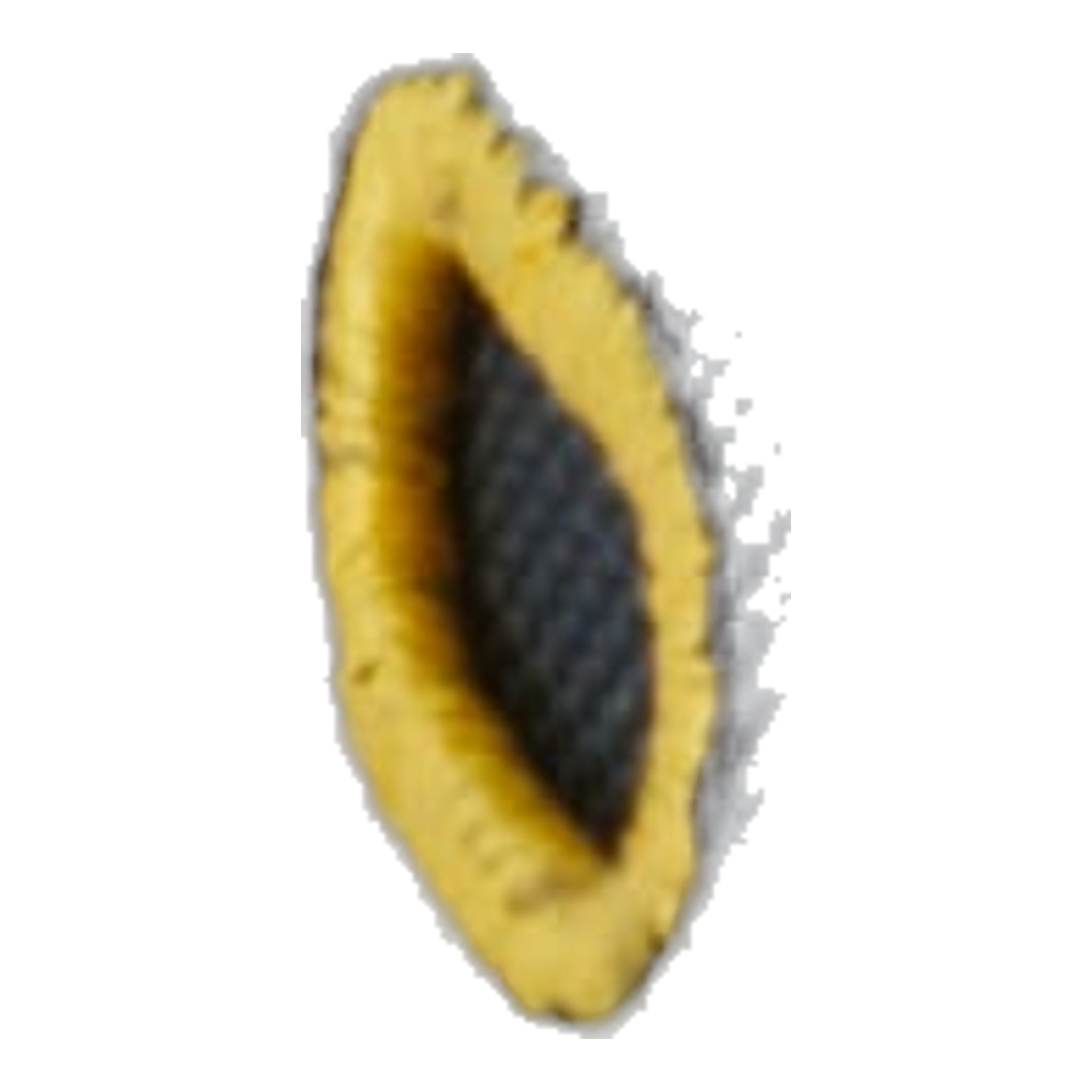 Titleist Players Rucksack "The Open"