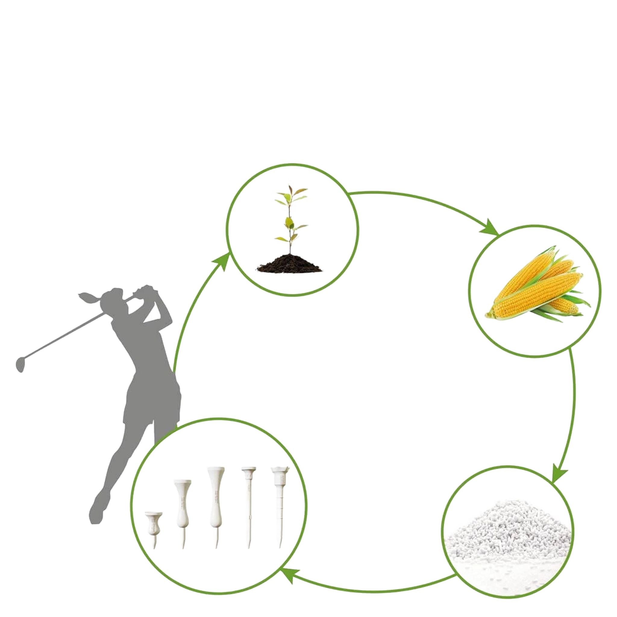 Herbaty Lignum Classic ECO