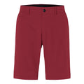 Kjus Ike Shorts Cardinal Herren