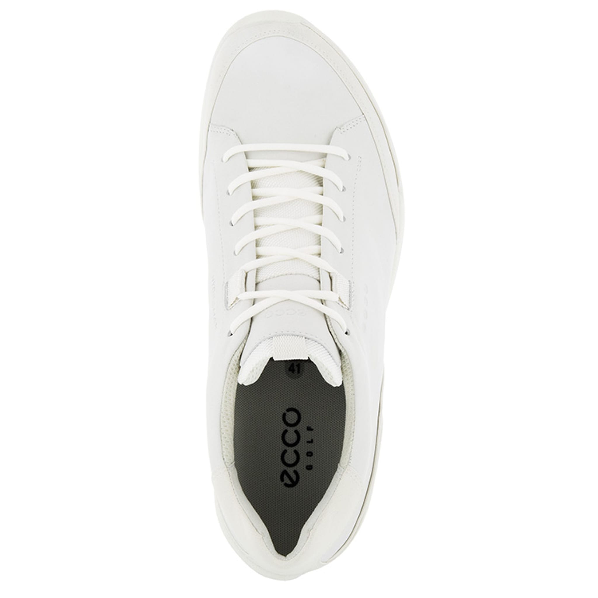 Ecco BIOM Hybrid Buty do golfa dla mężczyzn